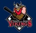 Southland Vikings